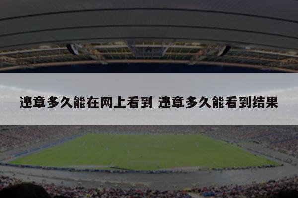 违章多久能在网上看到 违章多久能看到结果