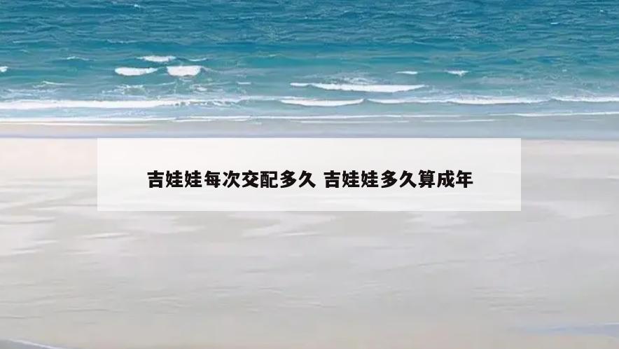 吉娃娃每次交配多久 吉娃娃多久算成年