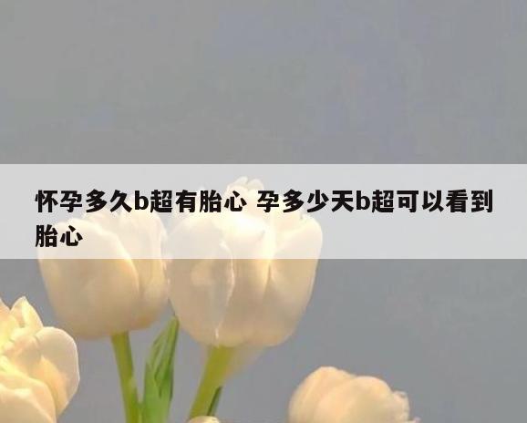 怀孕多久b超有胎心 孕多少天b超可以看到胎心
