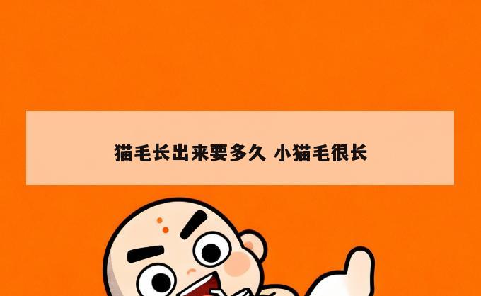 猫毛长出来要多久 小猫毛很长