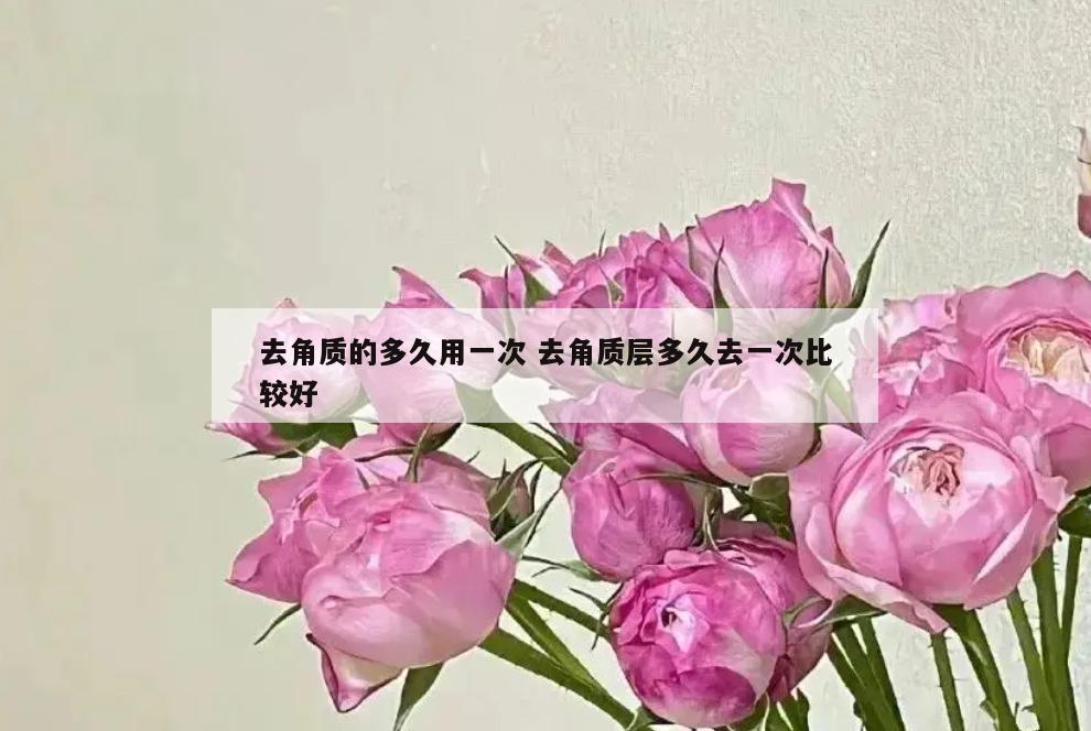去角质的多久用一次 去角质层多久去一次比较好