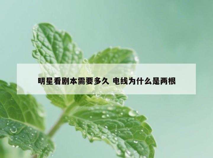 明星看剧本需要多久 电线为什么是两根