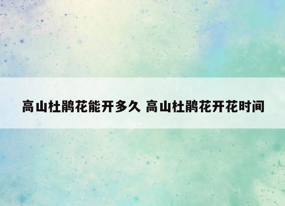 高山杜鹃花能开多久 高山杜鹃花开花时间