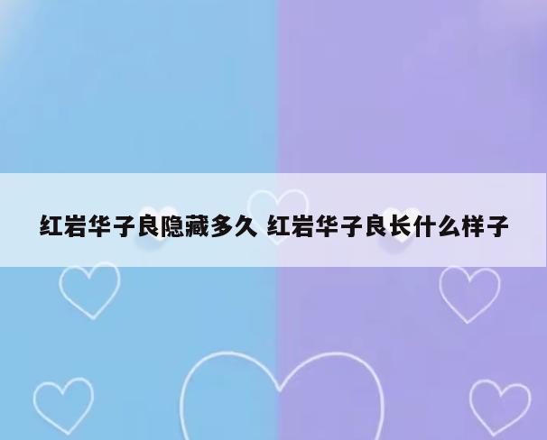 红岩华子良隐藏多久 红岩华子良长什么样子